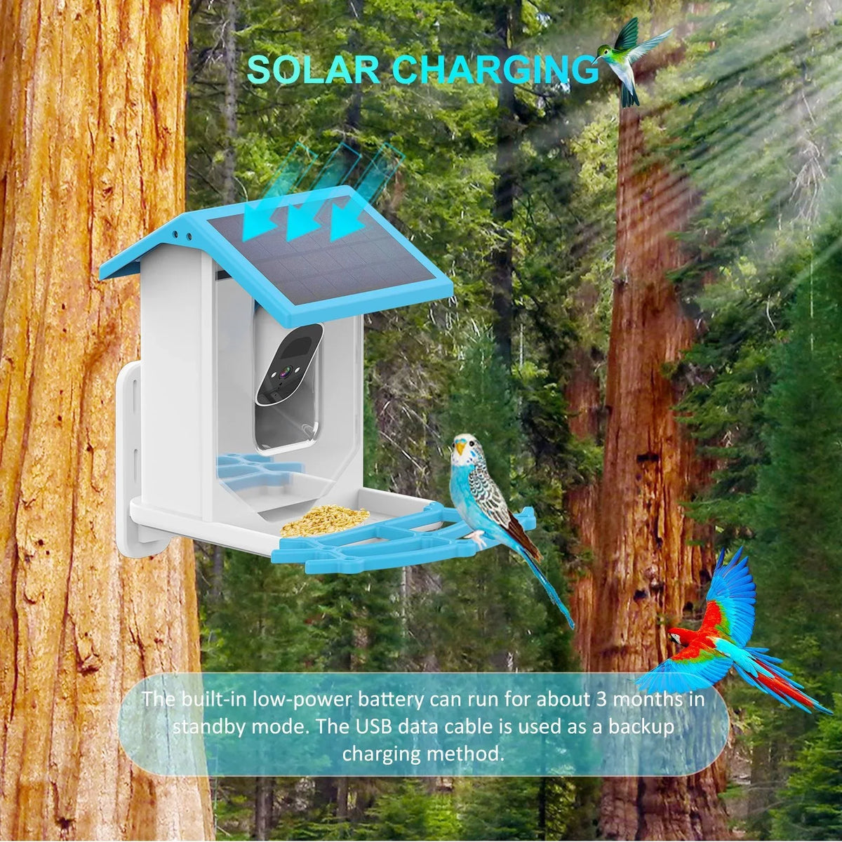With CameraCamera Arealer Camera Waterproof WaterproofCamera LowLowSolar Camera camera,Ip66 Camera Feeder Vision 1080p Surveillance Smart Feeder Real-time