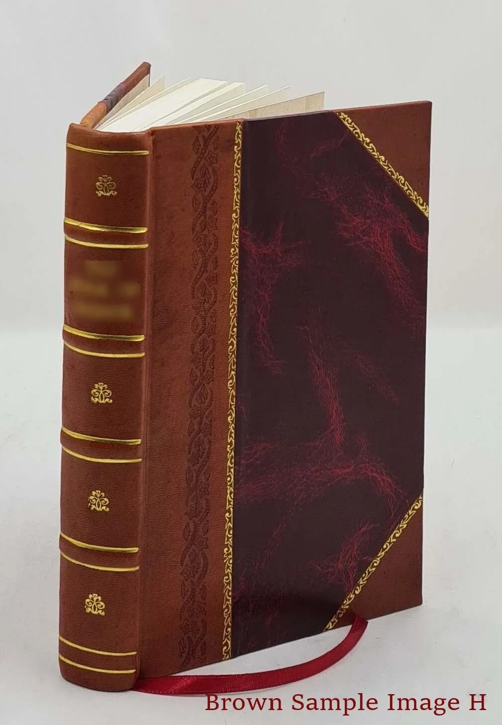 spiritus Bound] Daemonum et Remediaque Flagellum probatissima, expellendos, terribiles, facturasq singularem malignos efficaces ac exorcismos [Leather ad potentissimos, doctrinam :