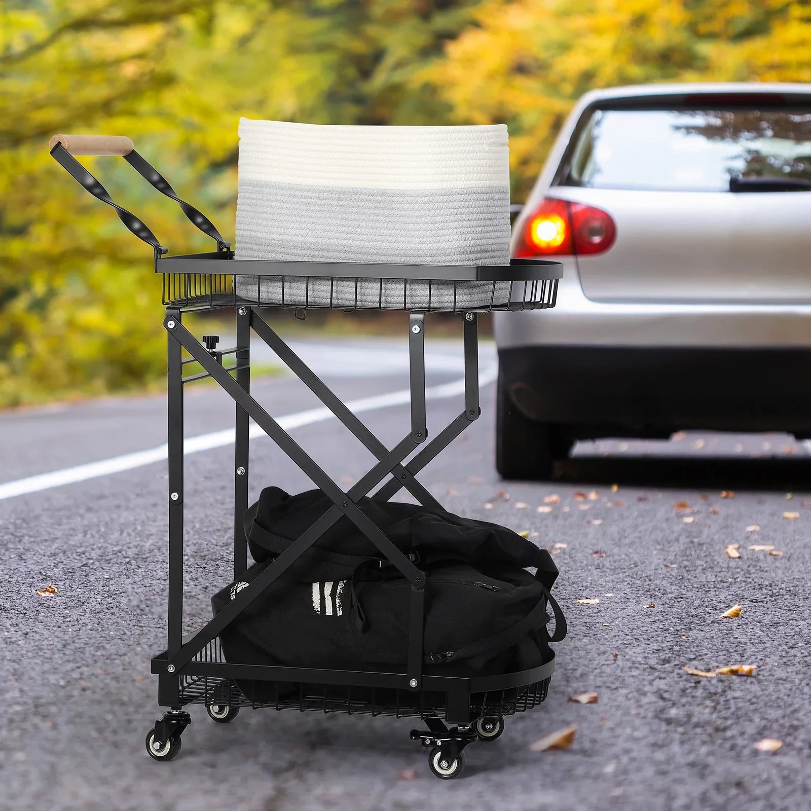 Trolley Storage 2-Tier Metal Utility Cart, Rolling Multifunction