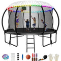 with Recreational Trampoline Trampoline for Kids for Kids,Pumpkin Outdoor Trampoline Hoop Basketball 12FT FIZITI with 990LBS Backyard 4-6 Enclosure Net,Sprinkler,Light,Socks,Ladder, Capacity