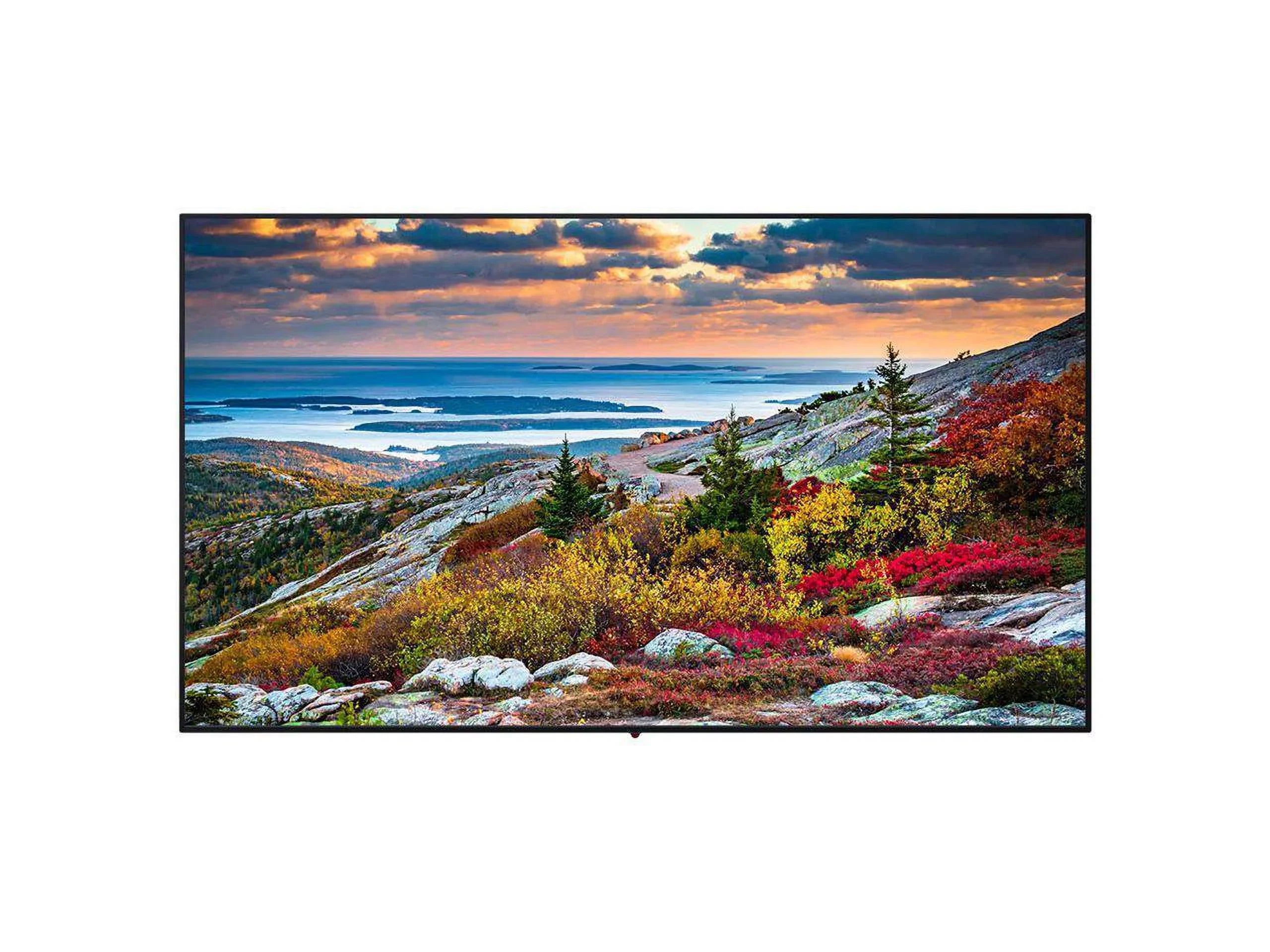 Ethernet Widescreen 3840 ms Black - Panasonic - 2160 400 cd/m2 HD 16:9 USB Wi-Fi 65-Inch - x TH-65CQE1WA - Monitor 8 Ultra - - 4K - - 5000:1 -