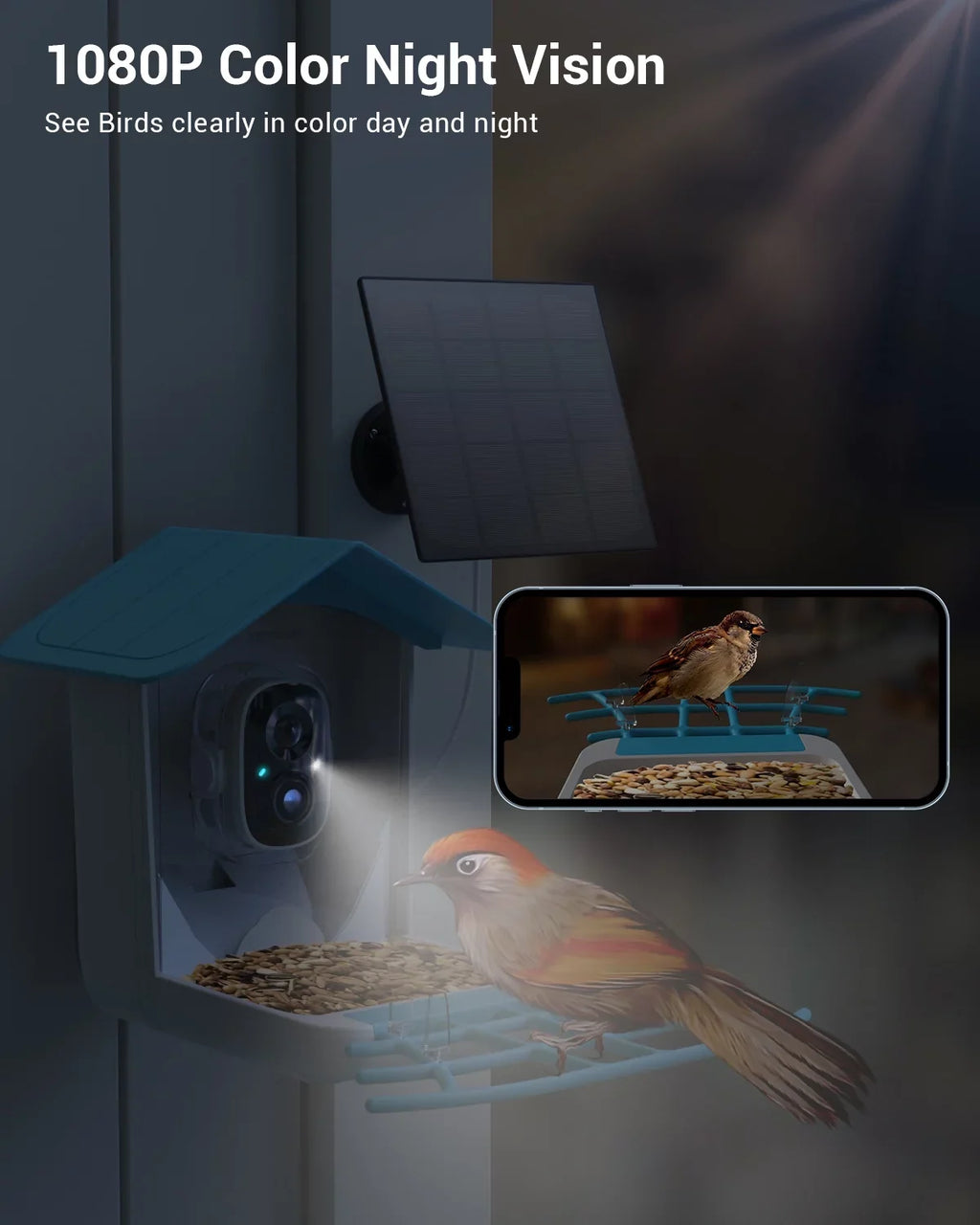 Videos House Auto Wireless Bird Security Camera, Bird Capture Outdoor Feeder with Bird Camera Solar Battery Feeder 1080P with Smart TMEZON Powered