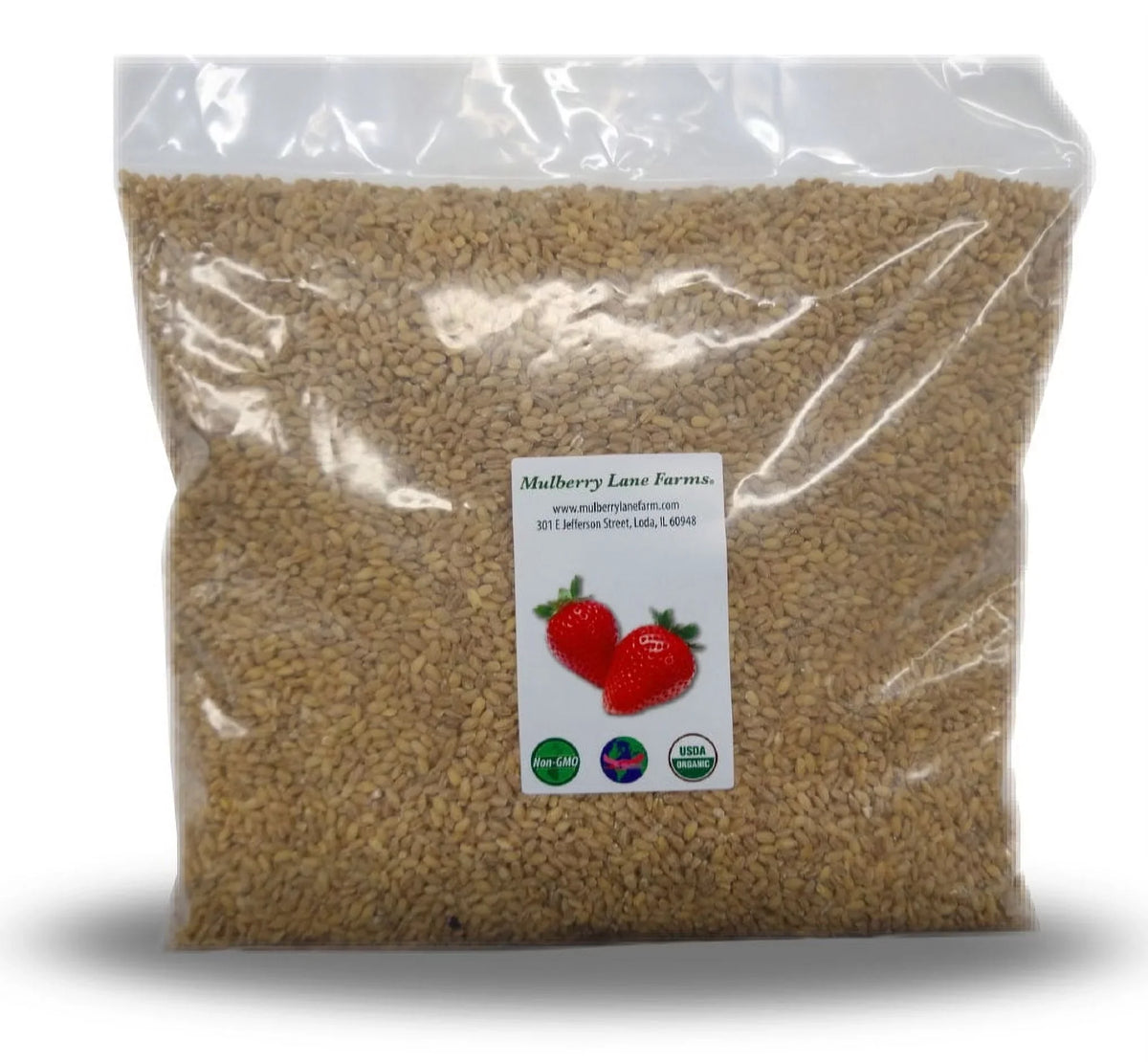 10 100% Hulled pounds) lbs (ten Organic Certified Barley USDA