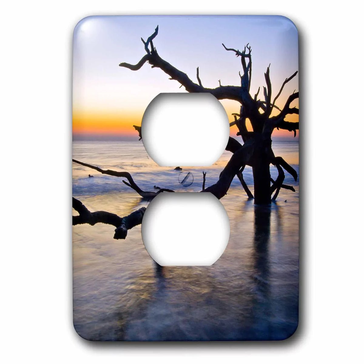 USA, ocean 2 Island, Cover (lsp_278900_6) Plug tree, Outlet - Georgia. 3dRose Jekyll
