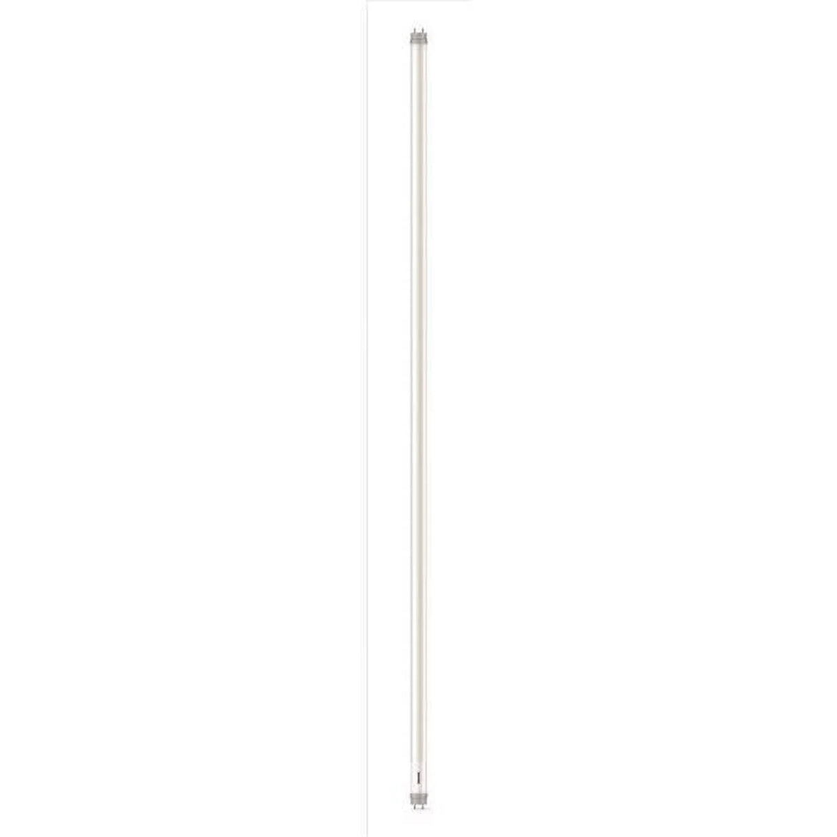 Equivalence Tube Philips 3012435 Bi-Pin Light Pack - 2 32W 5 of Daylight - Pack T8 LED of -