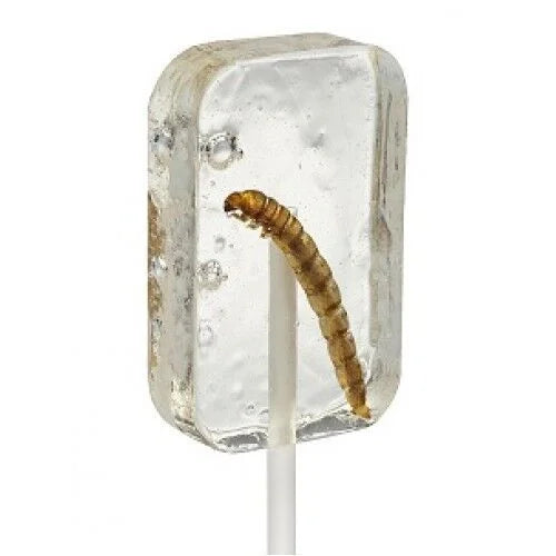 TEQUILA WORM - CANDY WITH FREE HOTLIX - FLAVORED - 2 SUGAR Suckers