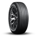 107H Roadian Tire BSW 255/50R19 All GTX Nexen Season