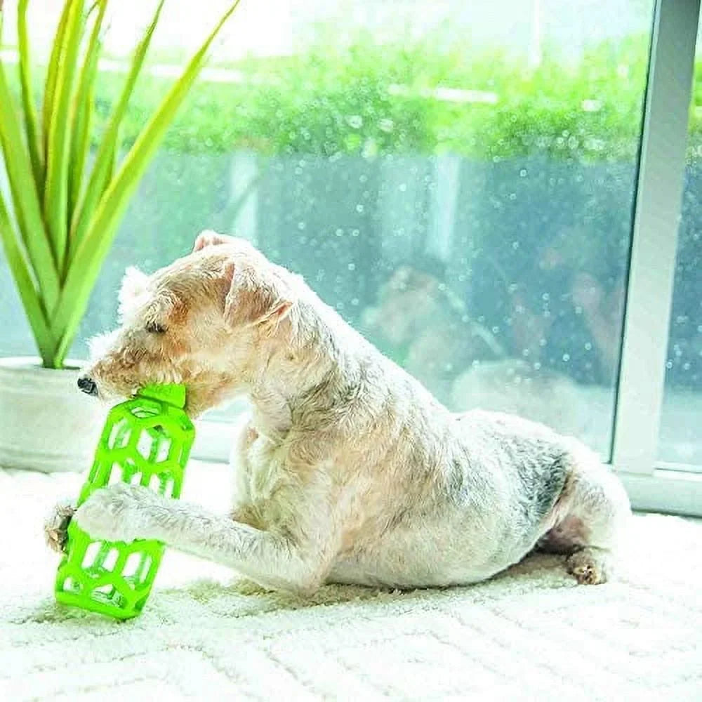 Bottle JW Puzzle Dog Toy, Hol-ee Pet Medium Chew