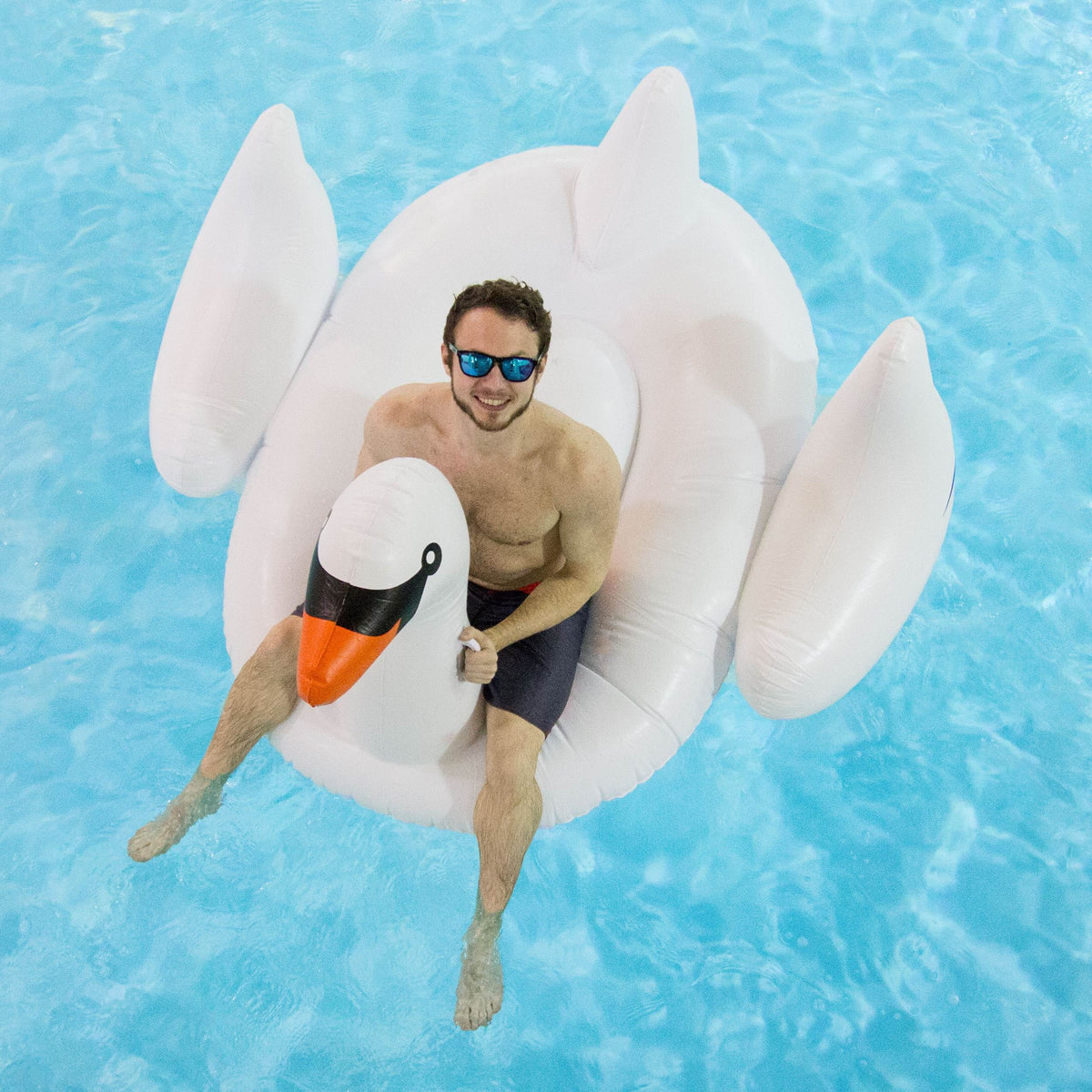 Swan 3-Pack 3 Floats Ride-On 90621 75-Inch Swimline Inflatable | Giant x