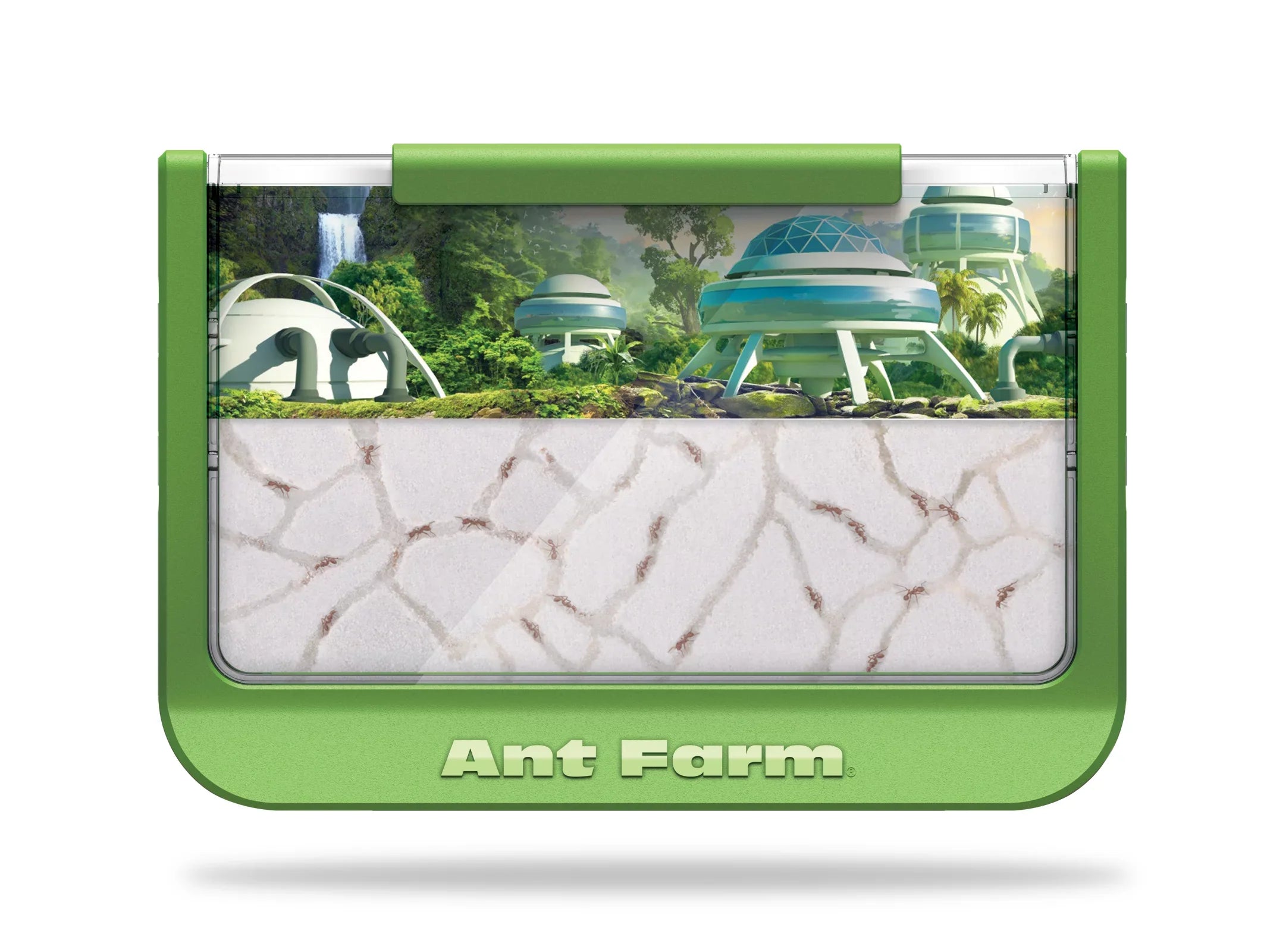 Educational Milton Scientific - Toy Green Uncle - - Farm Rainforest Ant