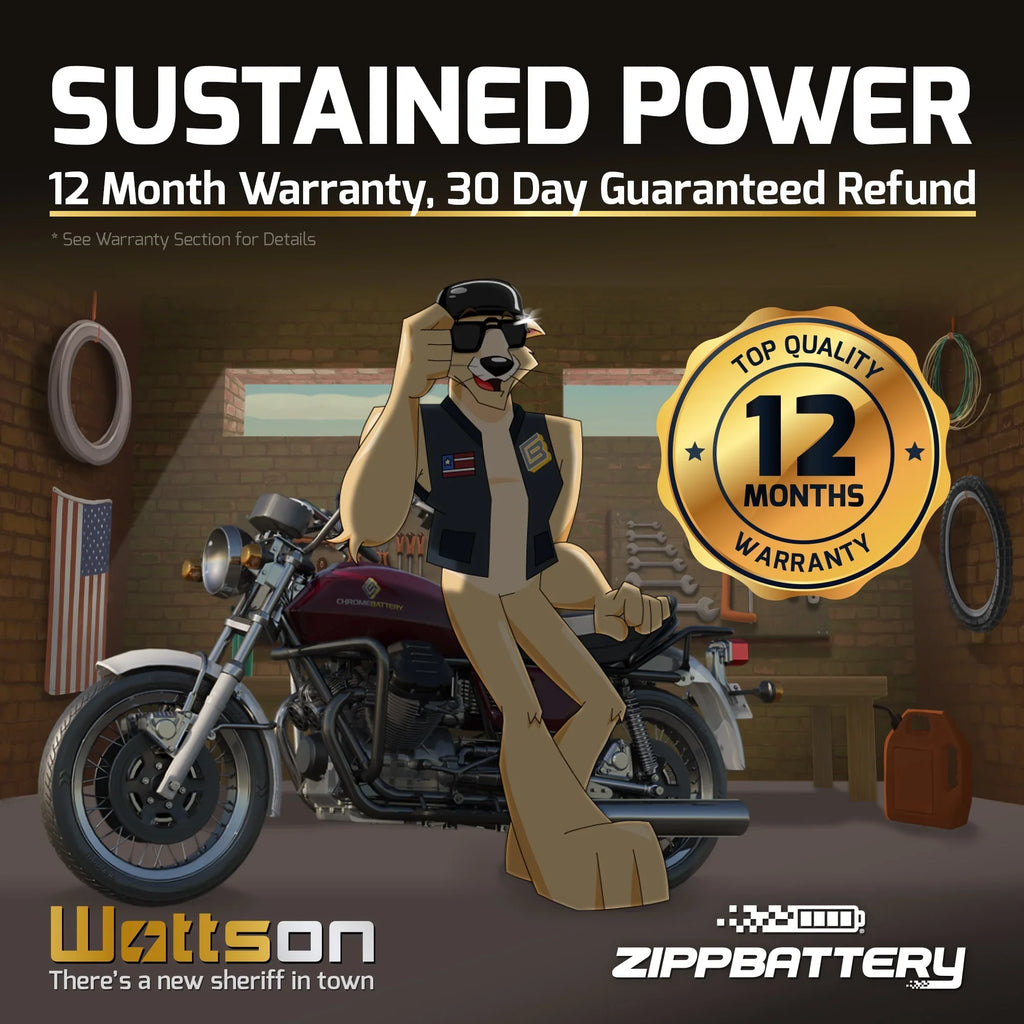 Jet Battery Zipp Models All Polaris Years Yb16cl-bs Battery All Ski Cc for All