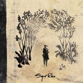 '- - Takk... Ros Vinyl Sigur