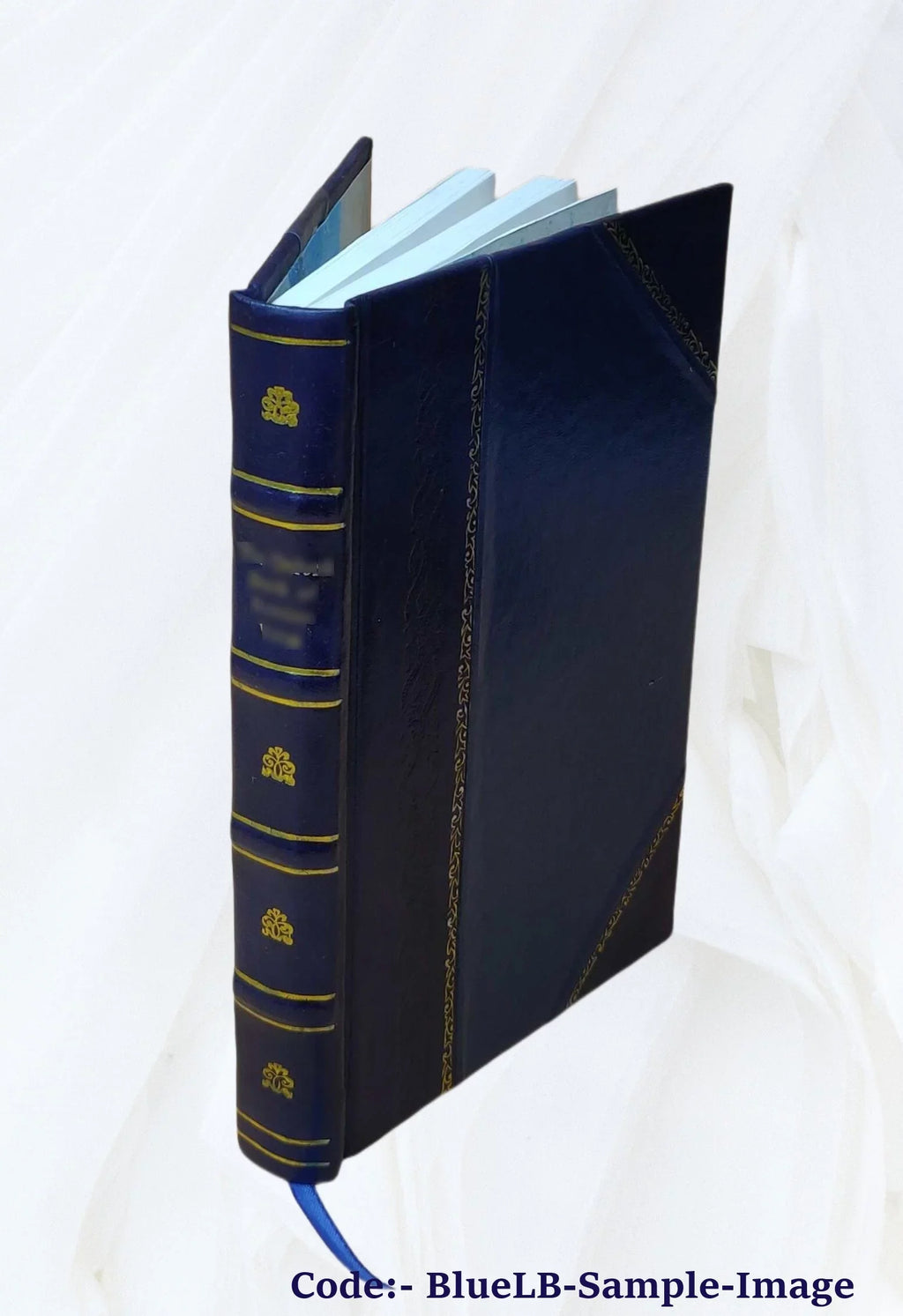 Indian stories 1919 [Leather ghost Bound]