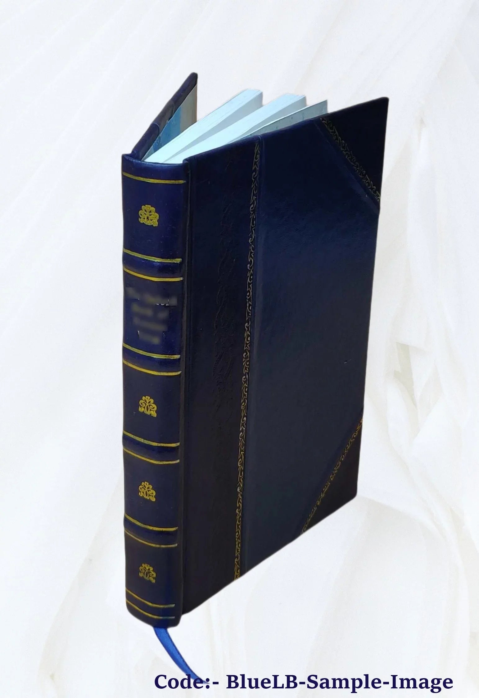 Indian stories 1919 [Leather ghost Bound]