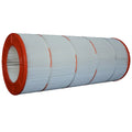 PAP100 Pleatco Replacement Cartridge Filter