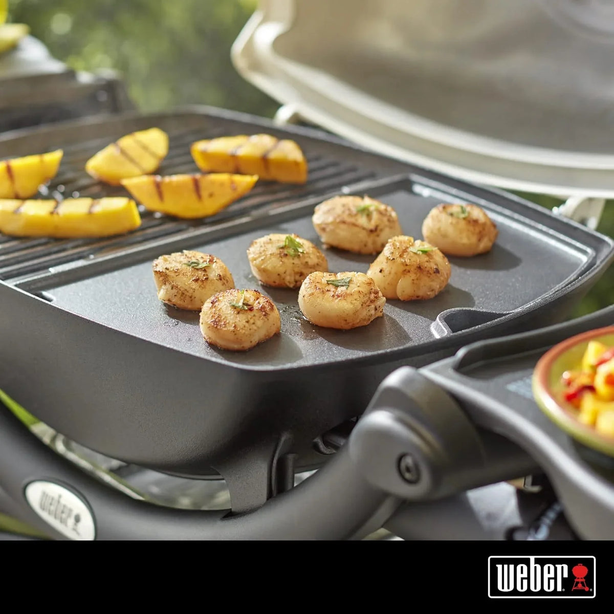 Griddle, Q 100/1000 Series