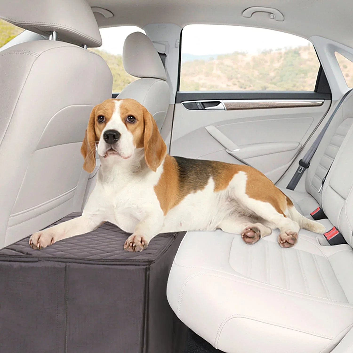 Extender Car Dog and Storage Safer Seat Back Imports MSR Platform Black More Seat Back Comfortable