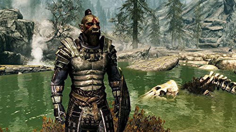 V: Elder The Switch) Scrolls Skyrim (Nintendo
