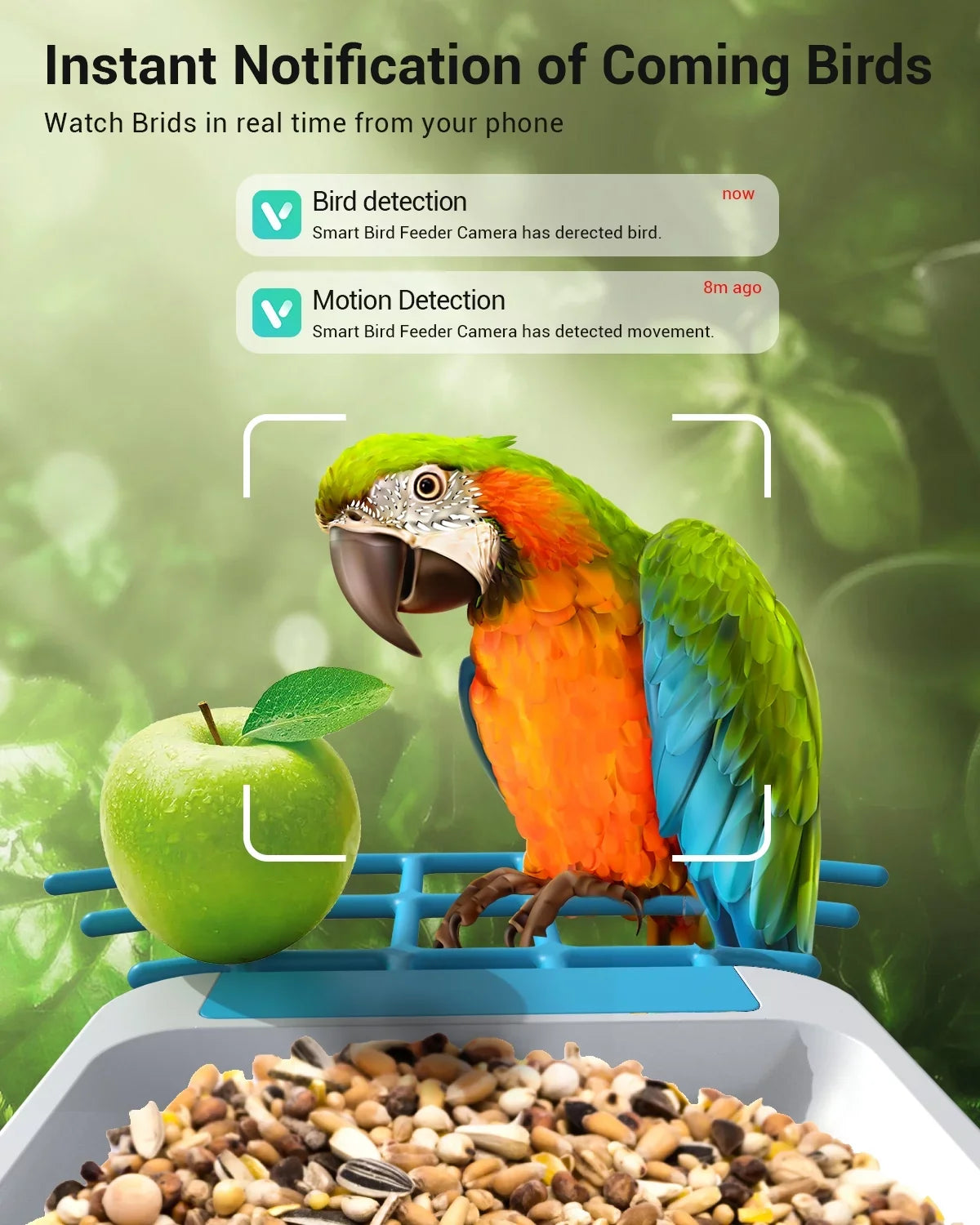 Videos House Auto Wireless Bird Security Camera, Bird Capture Outdoor Feeder with Bird Camera Solar Battery Feeder 1080P with Smart TMEZON Powered