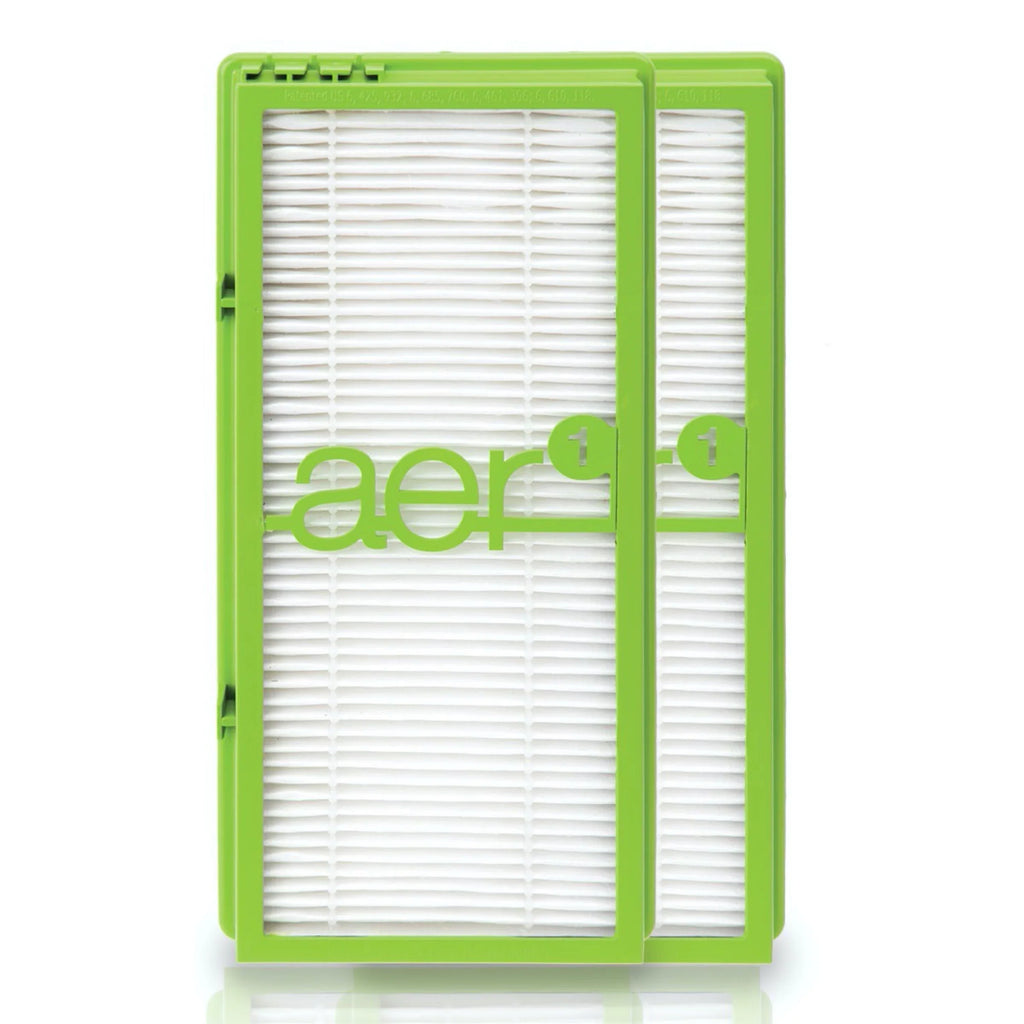 Allergen-Remover HEPA Bionaire® True aer1 Air Filter, 2-Pack