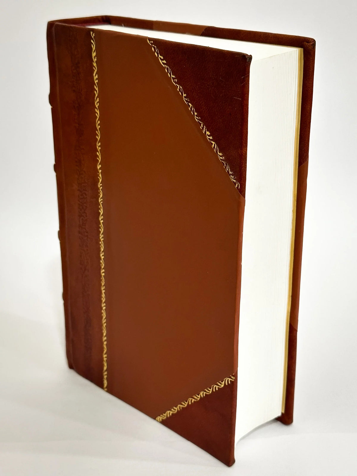 10-11 Bound] Edition 1860 [Leather (1860) Catholique , / L'Observateur Volumes