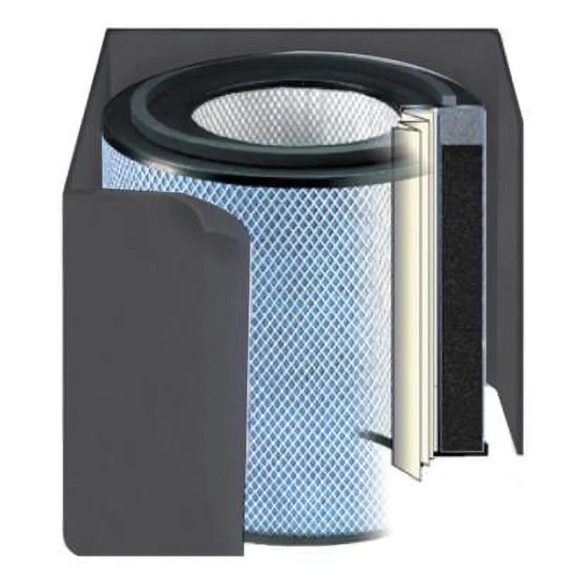 HEPA HealthMate Air Standard Austin Filter