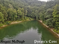 Angus - Cove McHugh Pyrate's