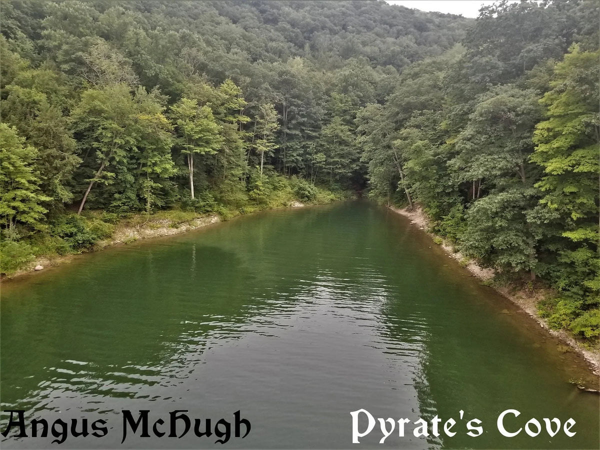 Angus - Cove McHugh Pyrate's