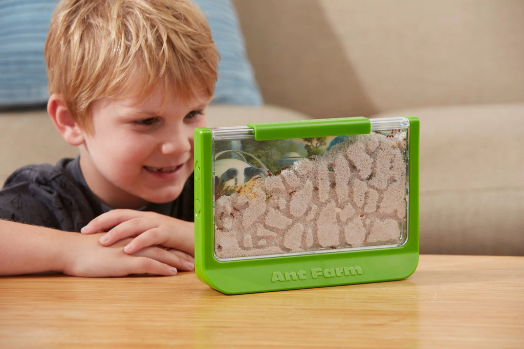 Educational Milton Scientific - Toy Green Uncle - - Farm Rainforest Ant