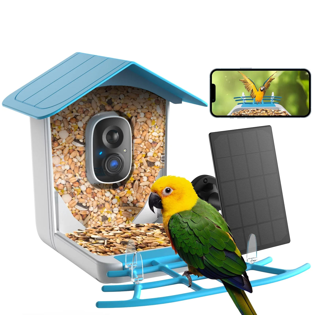 Videos House Auto Wireless Bird Security Camera, Bird Capture Outdoor Feeder with Bird Camera Solar Battery Feeder 1080P with Smart TMEZON Powered