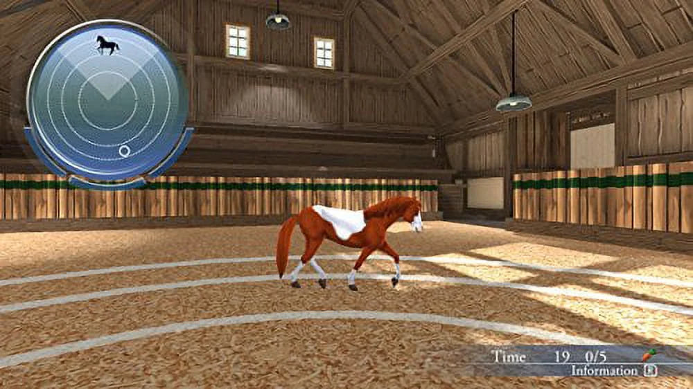 Life - Nintendo Horses Riding My Stables with Switch -