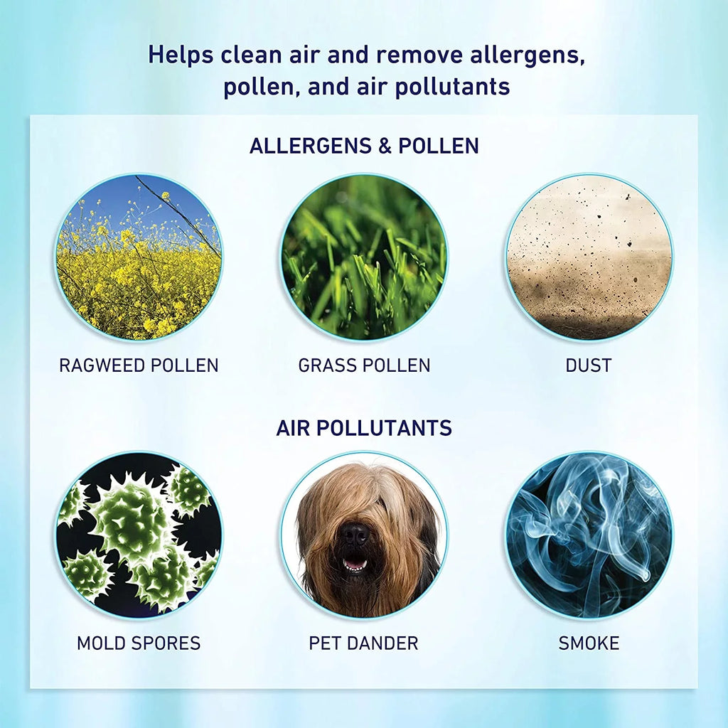 Allergen-Remover HEPA Bionaire® True aer1 Air Filter, 2-Pack