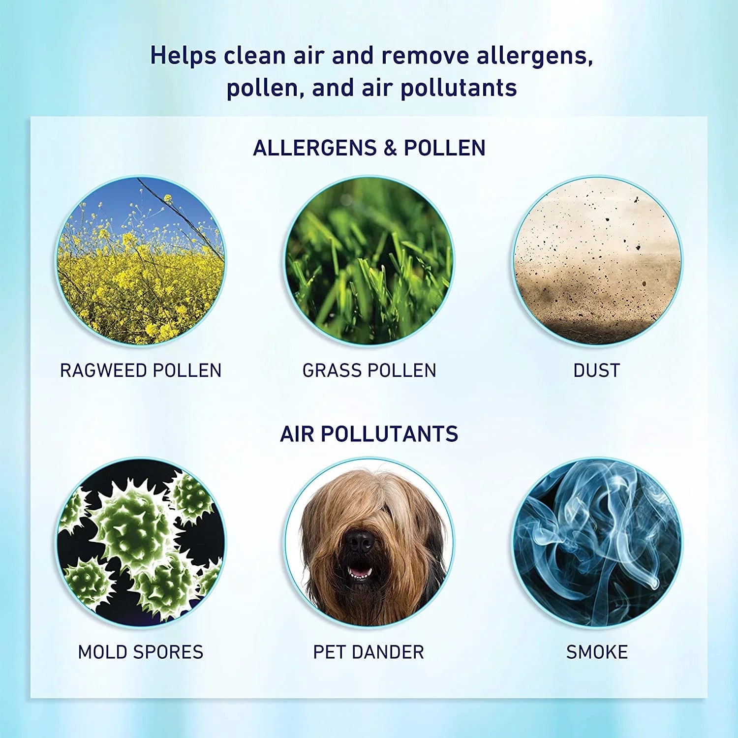Allergen-Remover HEPA Bionaire® True aer1 Air Filter, 2-Pack