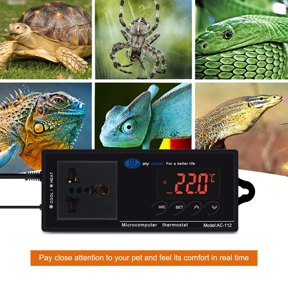 House Brewing Cooling Incubation Outlet Freezer Chest Heating Reptile Home Reptiles for Thermostat Controlled Digital Green -40℃~110℃ Controller & with Lepmerk Temperature Thermostat Plug Mode